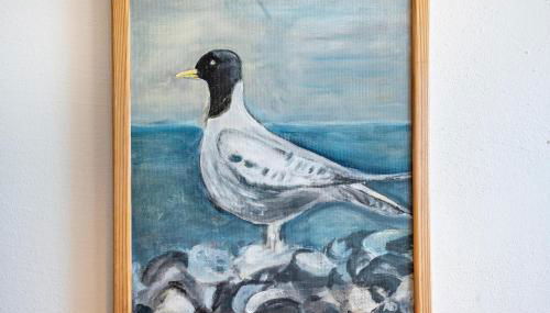 Öko Fewo Lachmöwe - Foto 4