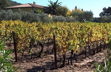 Bormes les Mimosas, Hameau de Cabasson, à 400m de la mer et du fort de Bregançon, Villa classée 3 étoiles, de 2 à 8 personnes - Foto 49