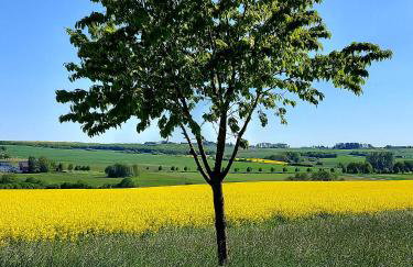 Premium Vulkaneifel Chalet - Foto 47