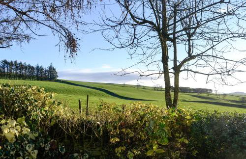 Cowar Bothy - Foto 15