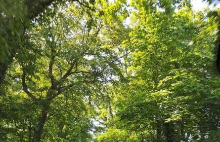 Applin Lodge - Photo 8