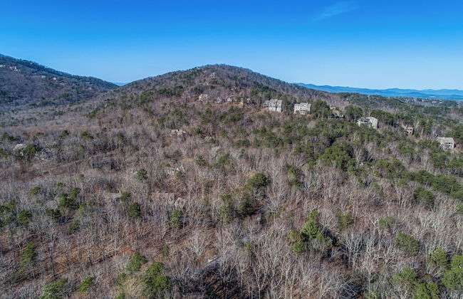 Lux Mountain Home! Golf / Lake/ EV / Game Room - Foto 23