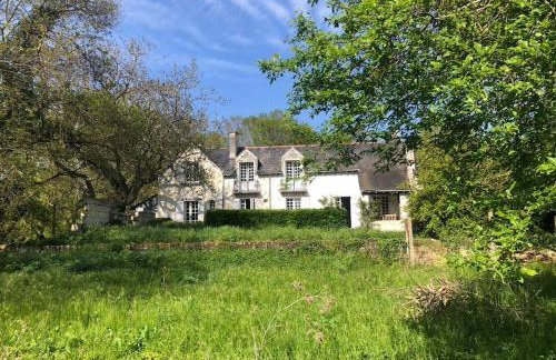 Huis op een eiland in de Loire - Photo 1