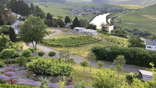 Ferienwohnung "Auszeit Im alten Weinberg" - Foto 4
