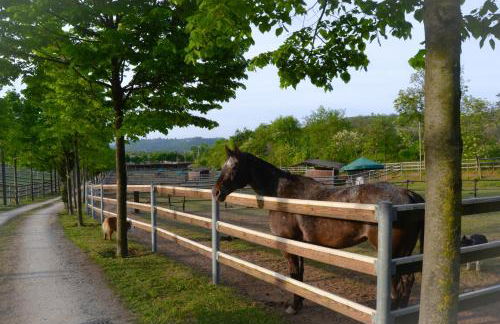 Pietra Cavalla - Ranch & Resort - Foto 57