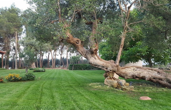 Tenuta Cavalieri - Foto 48