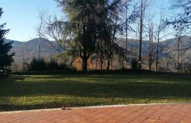 Le camelie - Foto 17