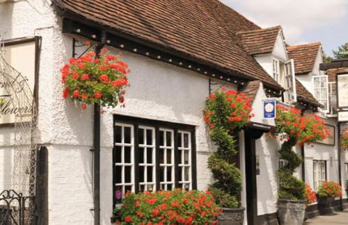 Cosy, private, cabin suit couples looking for a retreat and business traveller, near Frieth - Foto 23