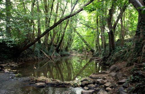 Ferienwohnung im schönen Zellertal - Foto 23