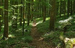 Studio Kaline - Foto 38