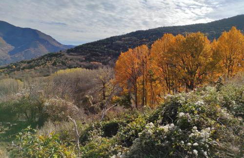 Bassiero Apartament - Photo 35