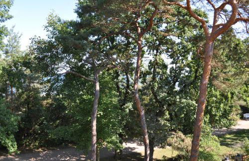 Strandvilla Waldhaus - Foto 75