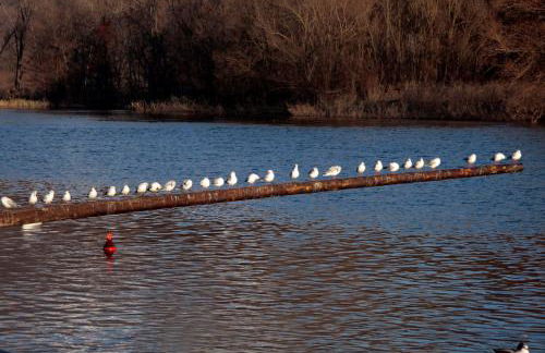 "LA TAVERNA" B&B - Foto 60