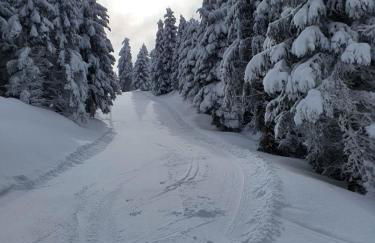 Ferienwohnung "Waldzauber" - Foto 36
