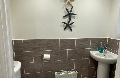 Rock Lobster - Foto 25