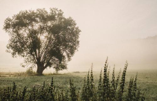 Domek nad Rozlewiskiem - Foto 12
