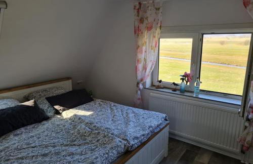 Carlos Hus - Foto 11