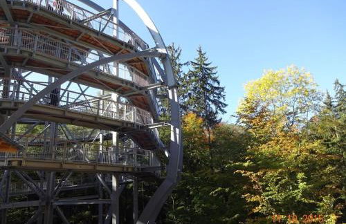 One-bedroom apartment - Foto 12