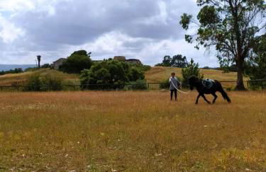 Herdade da Hera - Foto 60