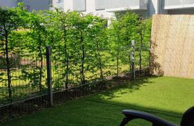 Green Terrace Big Family Apartment - Foto 28