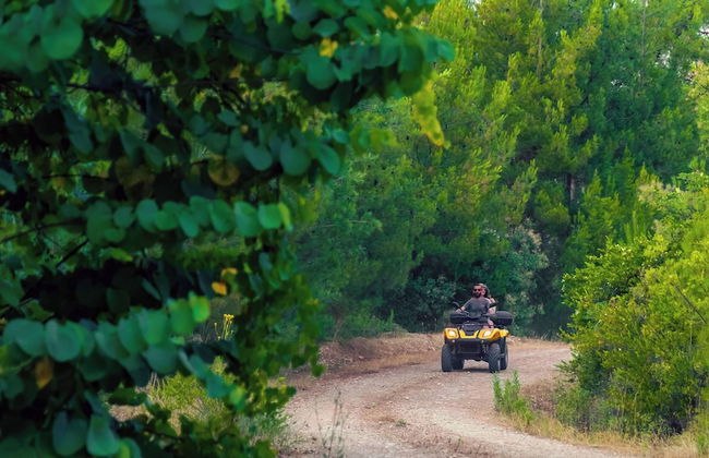Botanik Gol Evleri - Foto 77