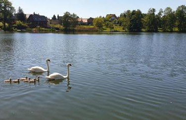 Domek na wodzie - Foto 31