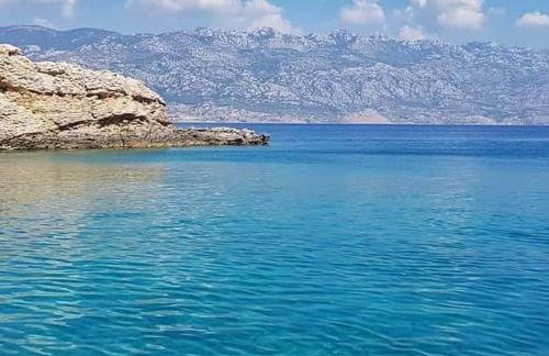 Sunny Bi-Pi Apartment - Photo 10