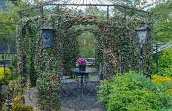 Ferienwohnung Alina - Foto 13