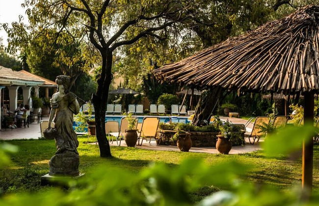 Spiti Prifti - Photo 69