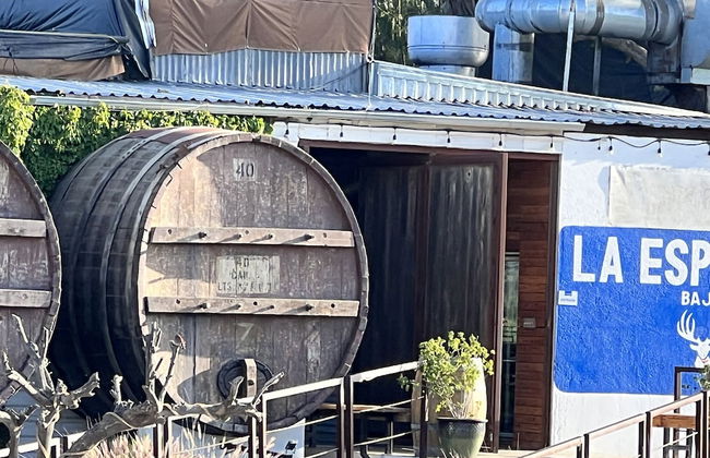 Ecovino Valle de Guadalupe - Foto 50