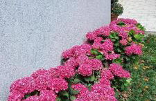 Holiday House Fantasy With Pool - Foto 67