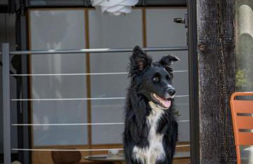 Ferienhaus ScheunenRefugio - Foto 21