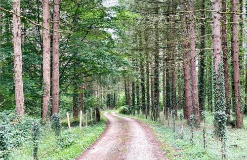 The Wooded Getaway - Entire House - Foto 4