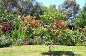 Blue Hills Luxury Apartment, Bay Front with Parking - Foto 30