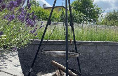 Willa Źródlana - Foto 6