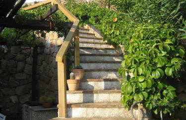 La Bouganville - Foto 4