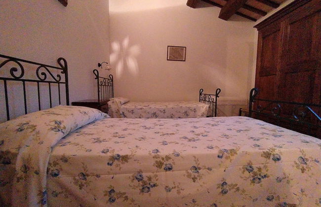 Agriturismo Terre Vineate - Foto 11