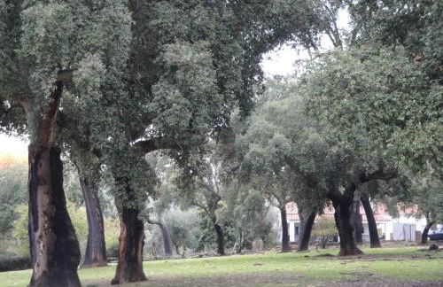 Casa Rural Sierra San Mamede - Foto 33