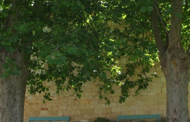 Finca Santa Eufemia - Foto 37