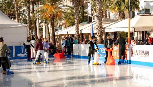 Parrot’s House - Foto 3