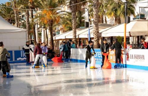 Parrot’s House - Foto 3