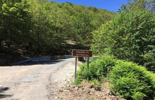 "Ecológico con Piscina Climatizada" y Sauna!! - Foto 32