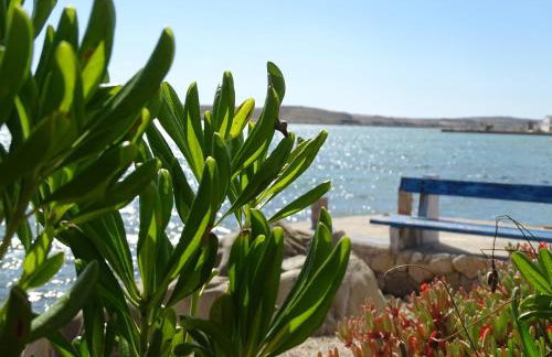 Apartments Šime - Foto 30