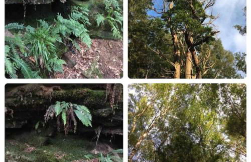 OLD CHAPEL Hayton Cumbria CA89HR - Foto 53