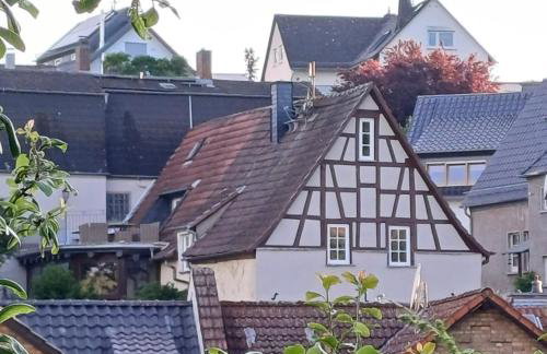 Auszeit Rheingauer Rosengarten - Photo 1