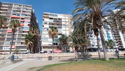 NEW MARITIMO - Photo 4