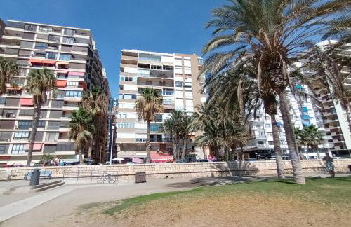 NEW MARITIMO - Photo 4