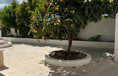 A casa dos Avós - Foto 15