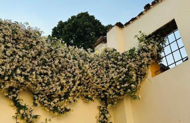 Pizzighettone Residenza La Corte - Foto 18