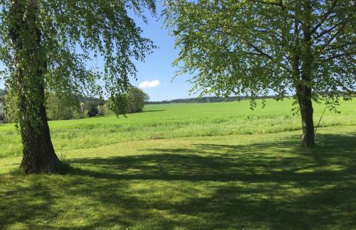 Haflingerstall - Foto 42